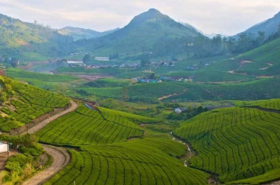 Coimbatore to Meghamalai ( 3 Days )