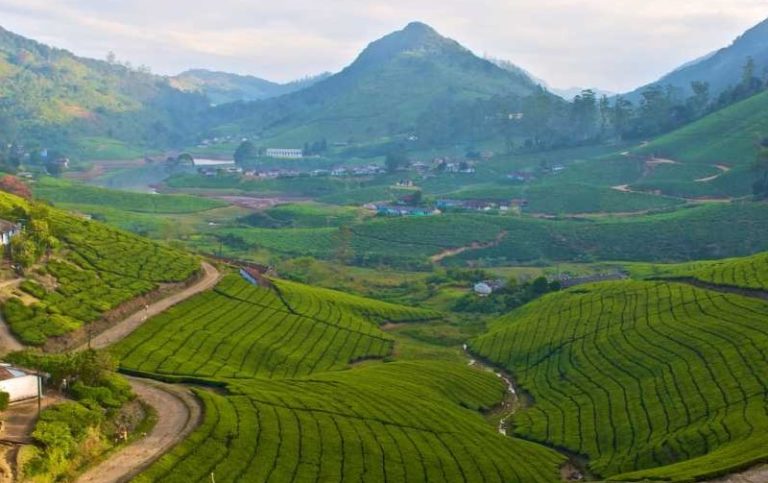 Coimbatore to Meghamalai Highwavys Tour Package (3 Days)