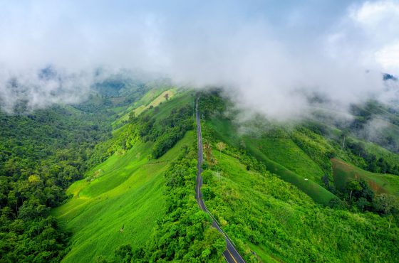 Coimbatore to Kodaikanal ( 5 Days )
