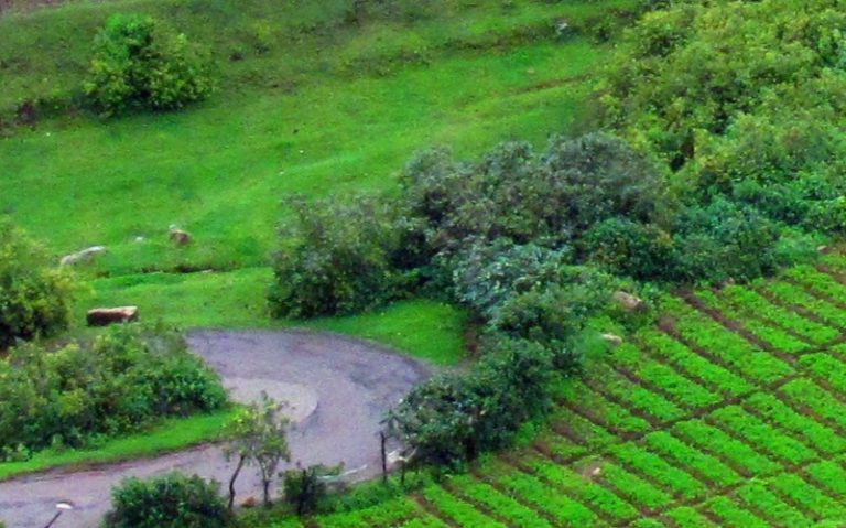 Coimbatore to Bangalore Tour Package (5 Days)