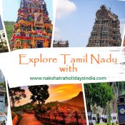 Travel Agency in Tamil Nadu