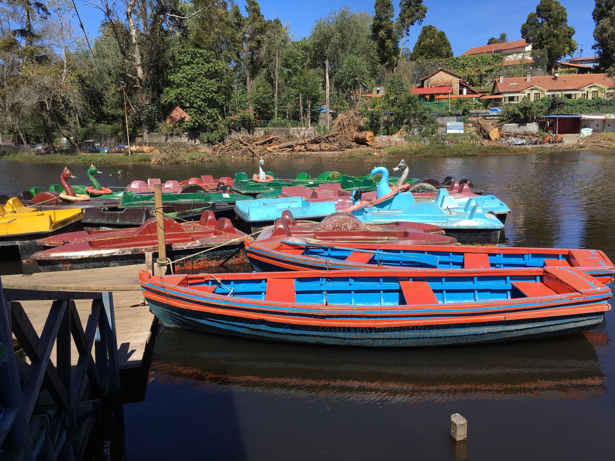 Kodaikanal Lake and Pine Forest Tour from Coimbatore