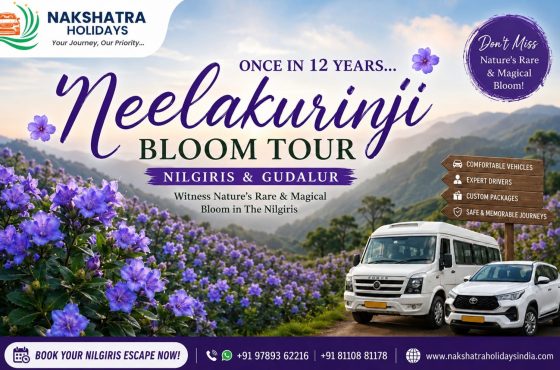 Neelakurinji Bloom Tour in Gudalur & Nilgiris | Nakshatra Holidays